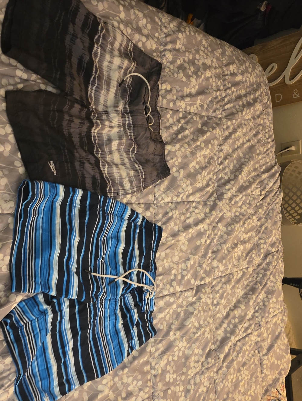 Men's Speedo Swim Trunks